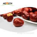 Agolyn Fresh Fruit الفاكهة Xinjiang Red Tates Jujube